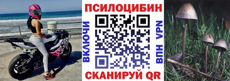 наркотики  omg зеркало  Галлюциногенные грибы мицелий  Перевоз 